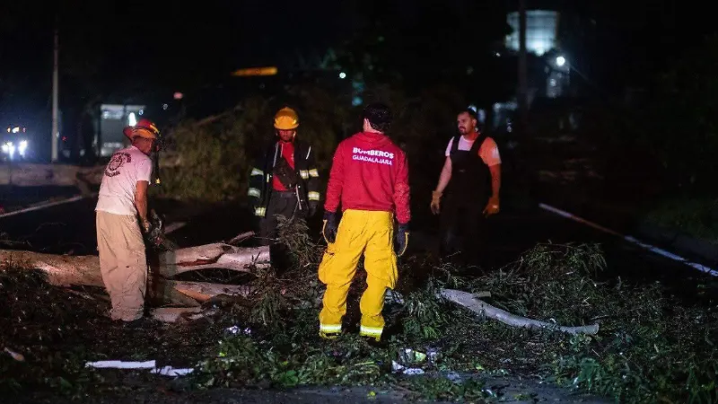 Bomberos GDL árboles caídos (3).jpeg